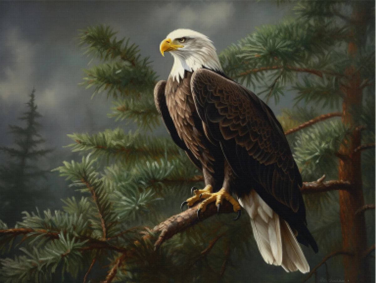 Majestic Bald Eagle