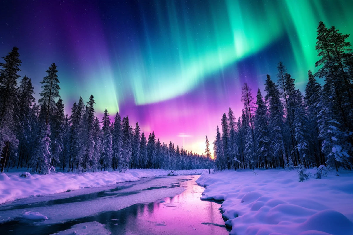 Northern Lights Winter